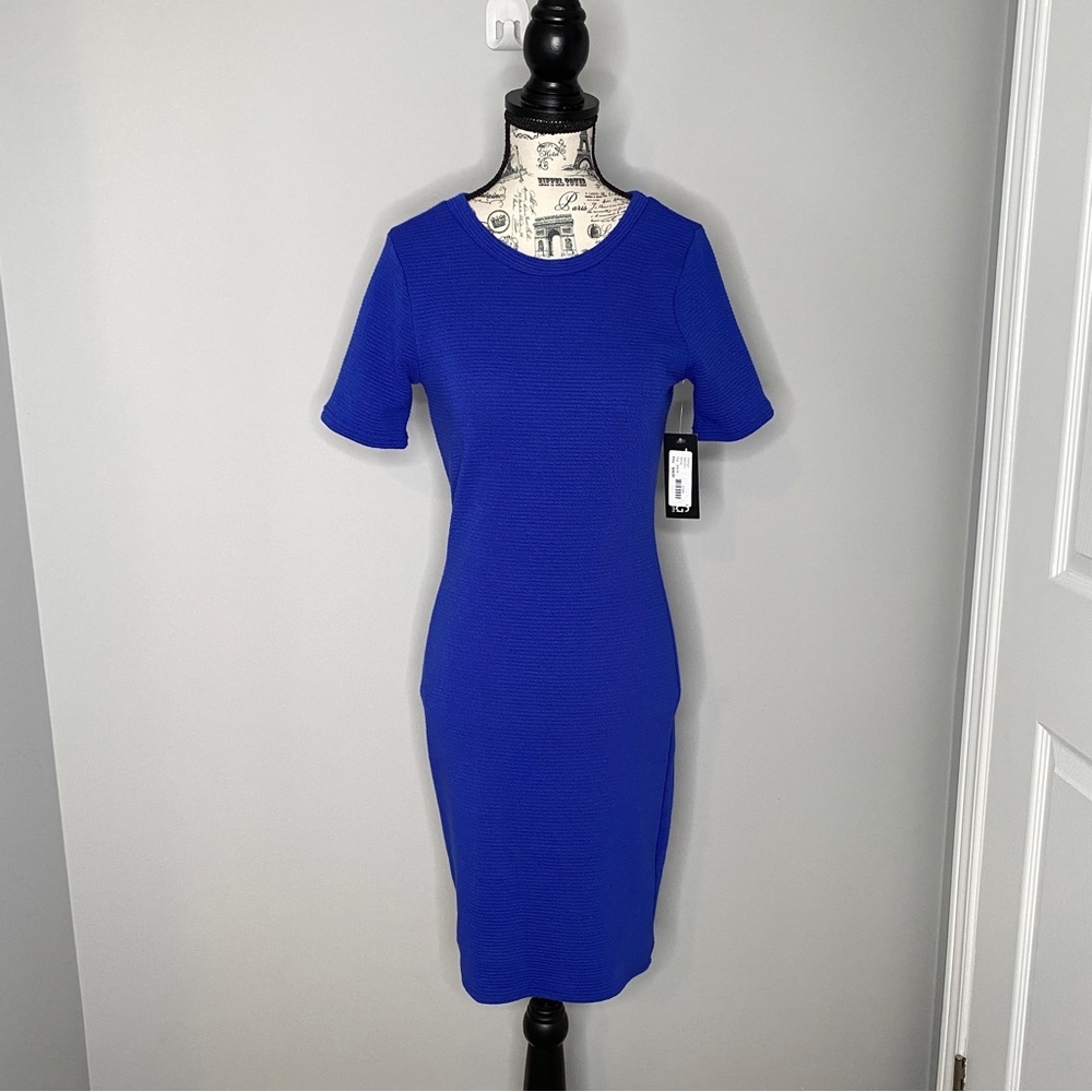 NWT Timing Blue Short Sleeve Dress (medium)